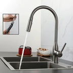 Modern Pull-down Water Filler Single Handle High Arc Kitchen Faucet