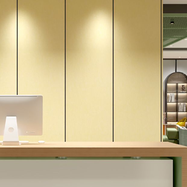 Modern Wall Covering Panel Linen Wall Indoor Upholstered Panel