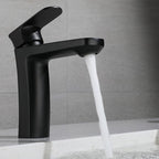 Square 1-Handle Basin Faucet 1 Hole Basin Faucet