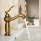 Brass Bathroom Vessel Sink Faucet Single Handle Round Basin Faucet with Water Hose
