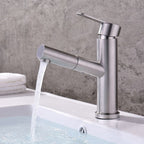Pull-out Faucet Contemporary Single Lever Faucet with Swivel Spout