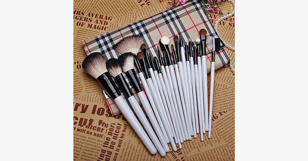 Complete professional makeup brush set with 20 brushes and a case