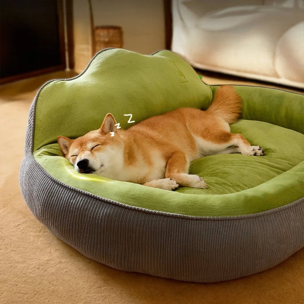 Ideal place for a cat to relax