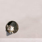Realistic 3D Mouse Hole Wall Sticker