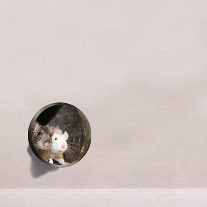 Realistic 3D Mouse Hole Wall Sticker