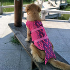Dog Swim Safety Jacket