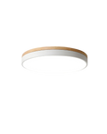 Modern Ceiling Lamp with Nature-Inspired Shape
