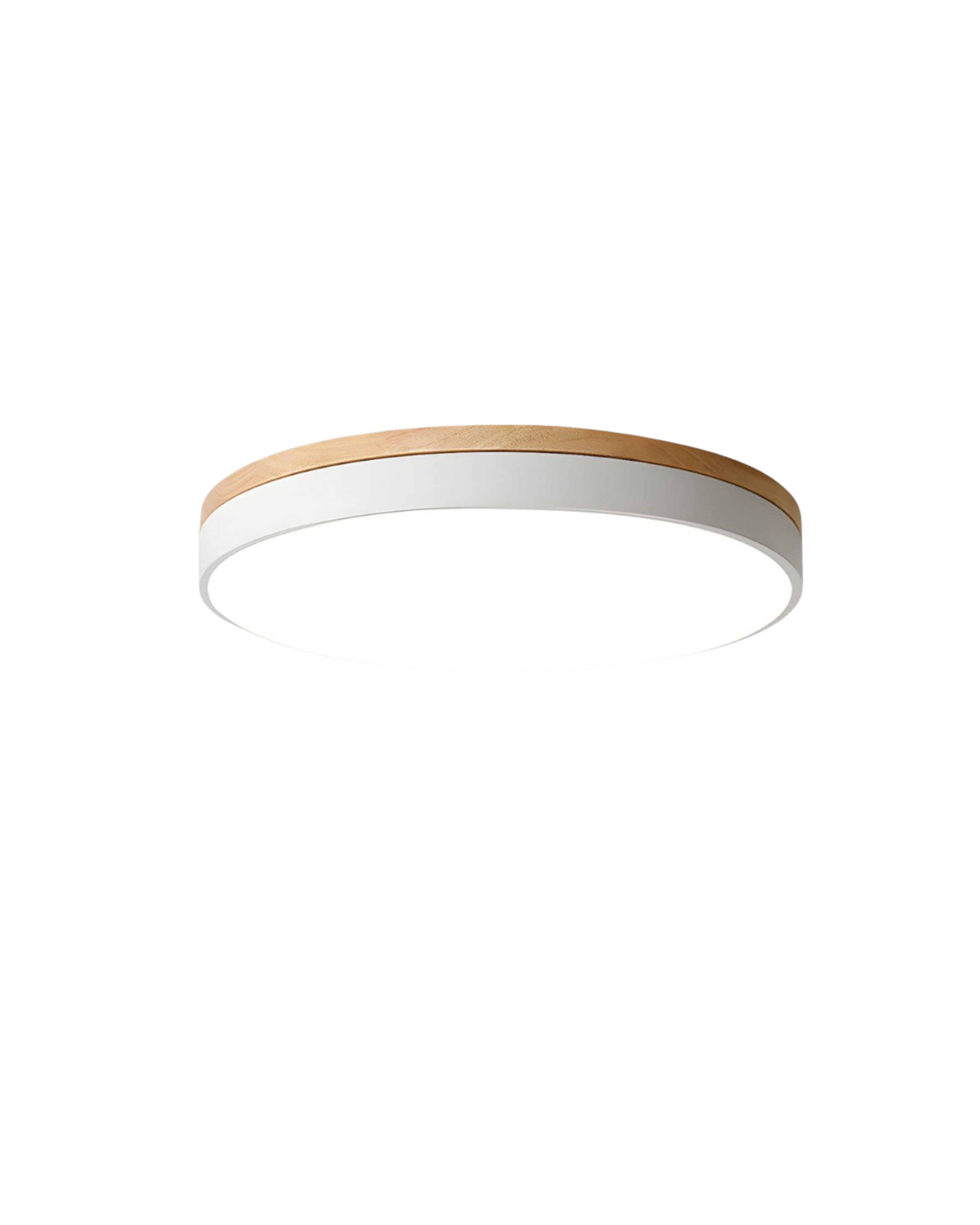 Modern Ceiling Lamp with Nature-Inspired Shape