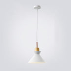 AuroraLite Nordic Pendant Light | Metal Design | 1-Light | Modern Color Options