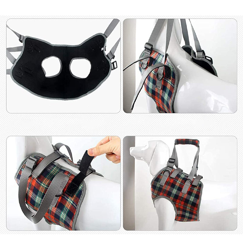 Orthopedic Strap for Hind Legs