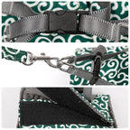 Cat vest harness and leash set for walks