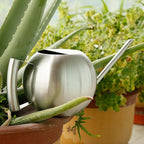Elegant Watering Can for Precise Watering