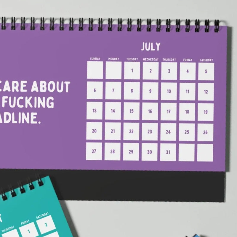 Funny 2025 sarcastic calendar