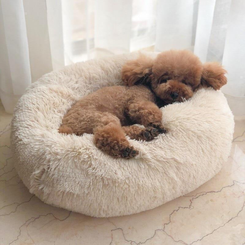 Orthopedic Plush Donut Dog Bed