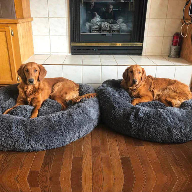 Orthopedic Plush Donut Dog Bed