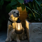 Playful Paws Solar Lamp