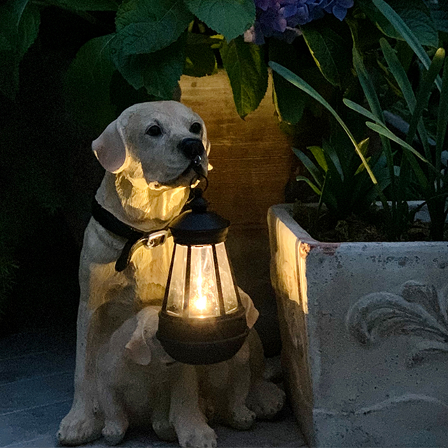 Playful Paws Solar Lamp