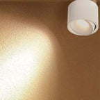 Origo Minimalistic LED Ceiling Light - Adjustable Round Recessed Lamp