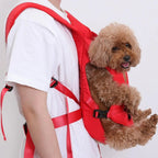 Dog Carrier Backpack | Ideal Canine Rucksack for Walking and Backpacking Adventures