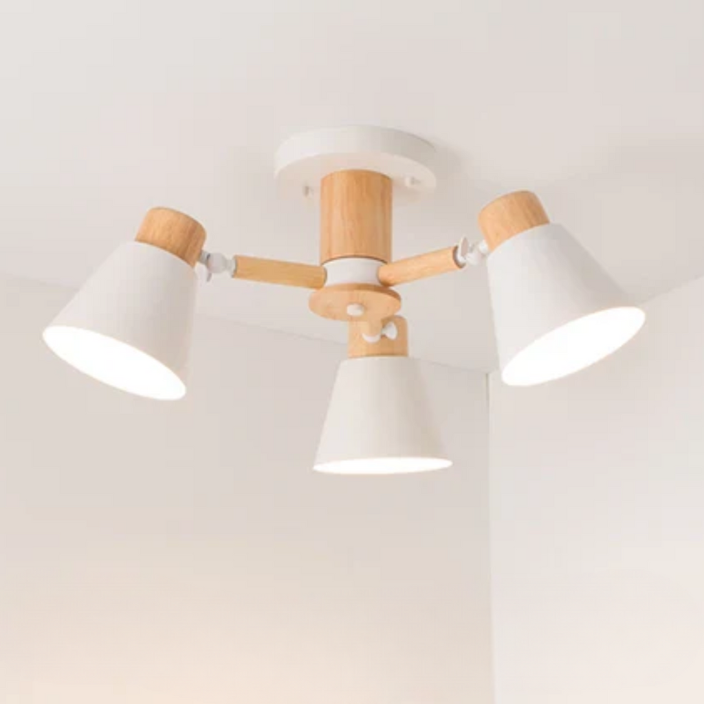 LED Ceiling Lamp