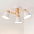LED Ceiling Lamp