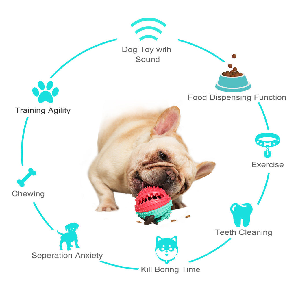 Round Food-Dispensing Puzzle Ball for Dogs