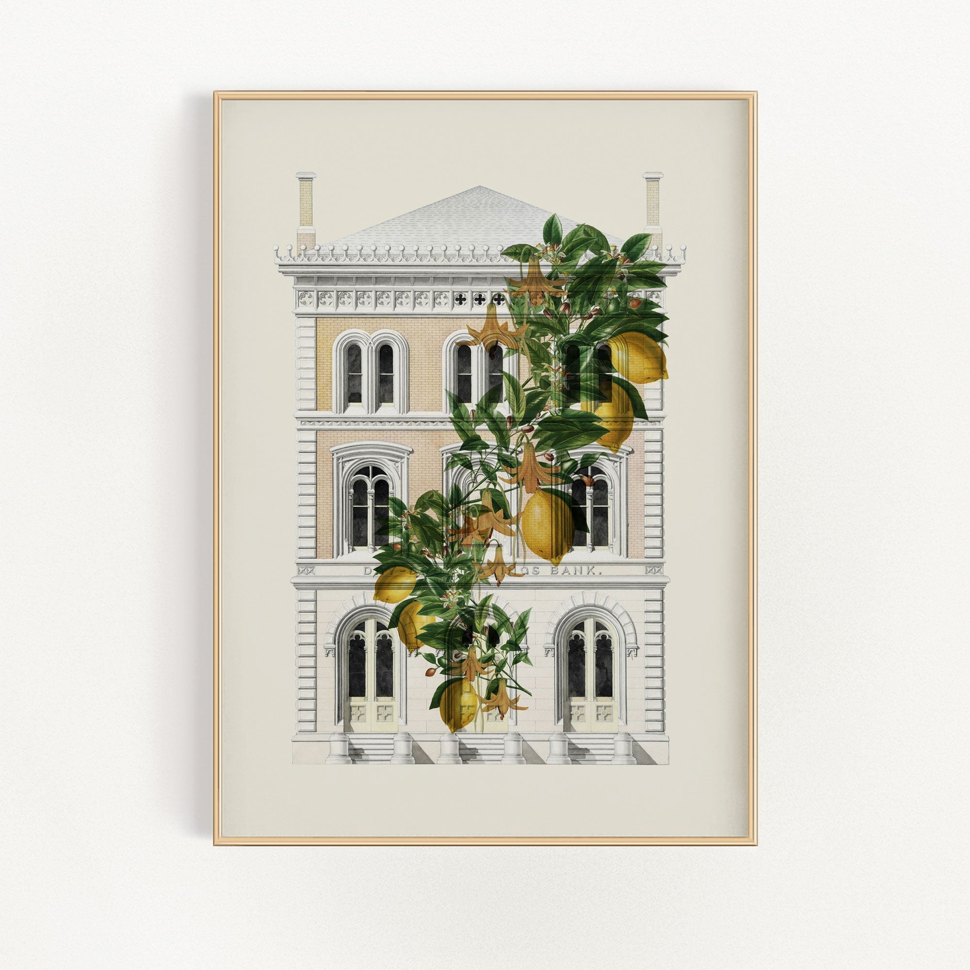 Lemony Hous of Bank