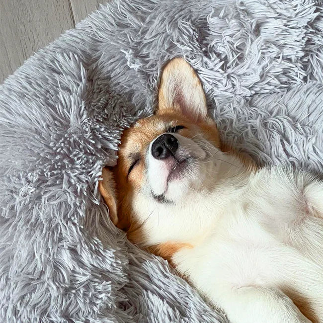 Orthopedic Plush Donut Dog Bed