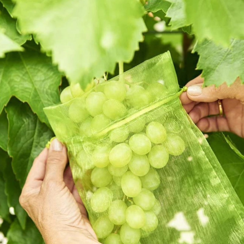 Fruit Protection Bag (100 PCS)