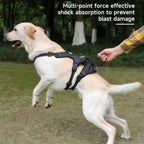 Reflective & escape-proof for relaxed walks