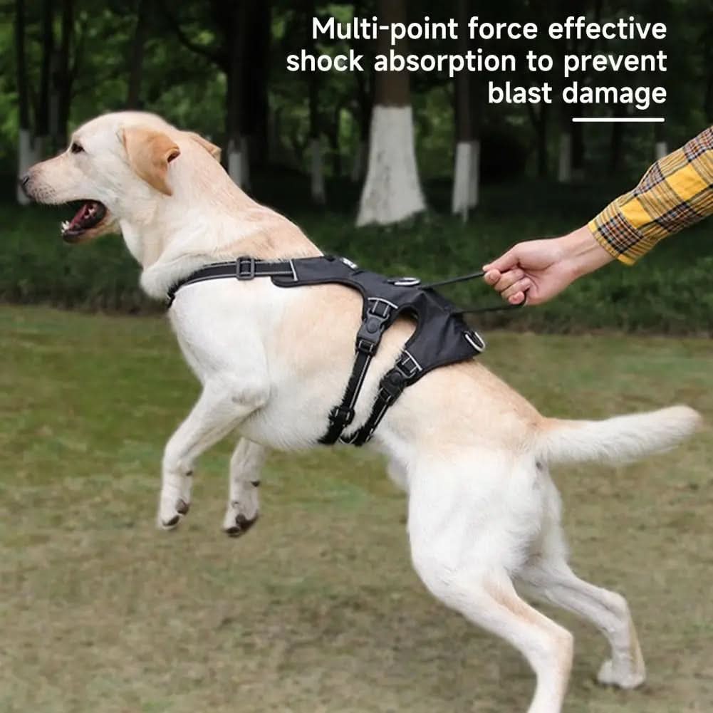 Reflective & escape-proof for relaxed walks