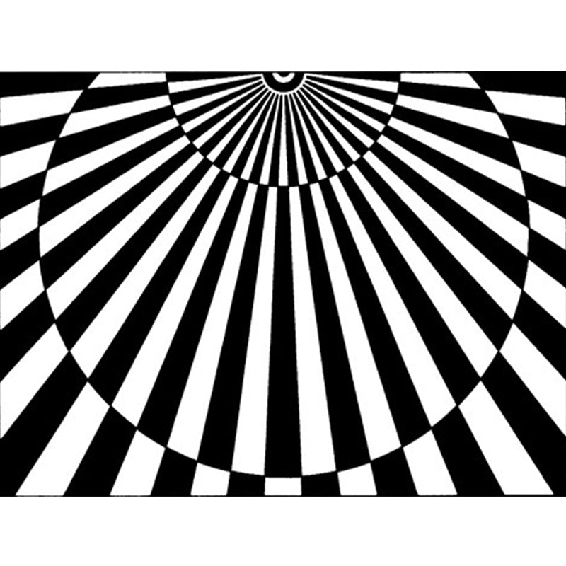Novelty Living Room Rug in Black and White 3D Half Circle Stripe Print Rug Polyester Pet Friendly Washable Area Rug