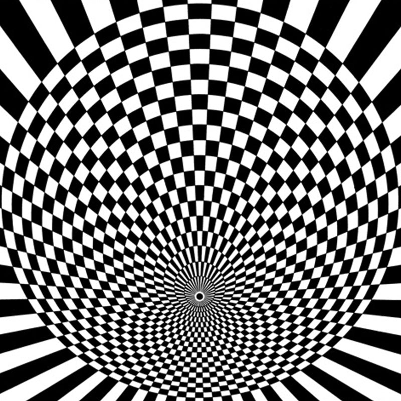 Black-and-white bedroom rug novelty 3D small check pattern carpet polyester non-slip pet-friendly rug