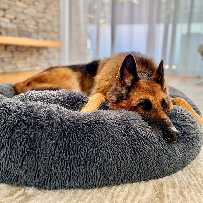 Orthopedic Plush Donut Dog Bed