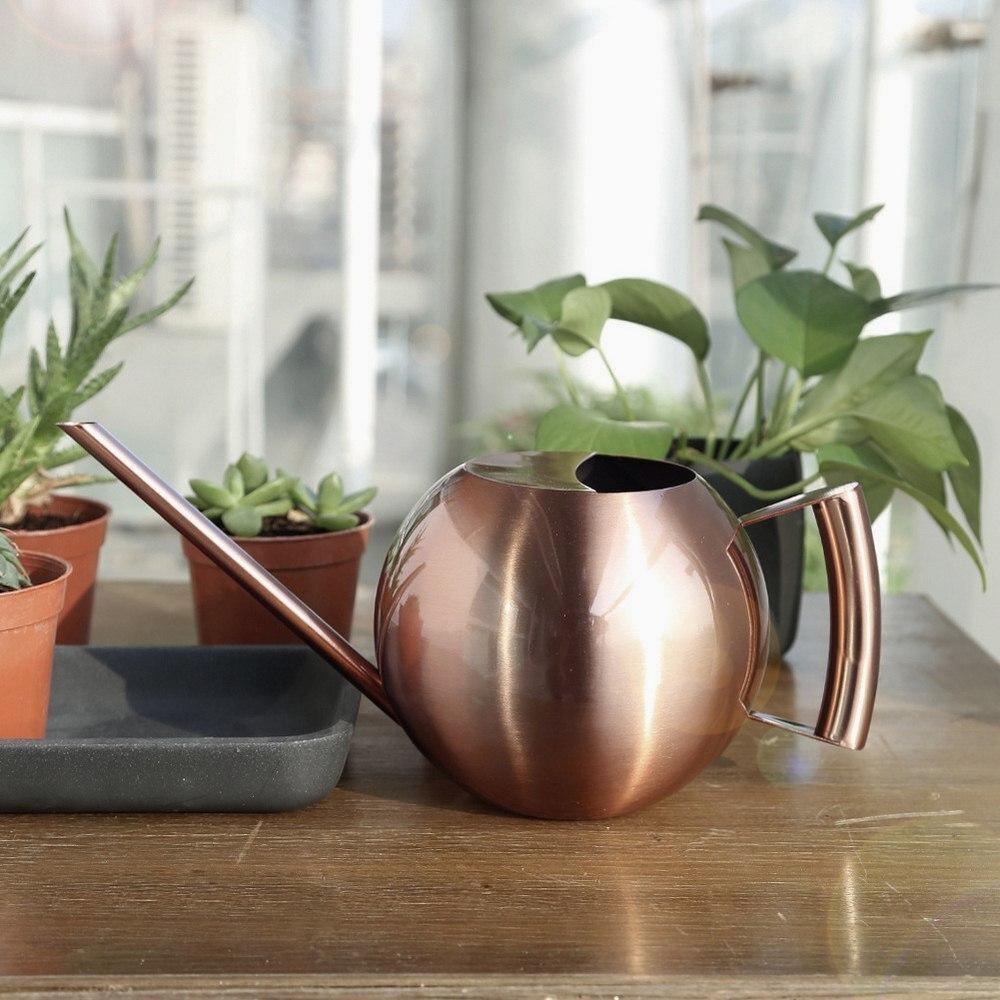 Elegant Watering Can for Precise Watering