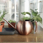 Elegant Watering Can for Precise Watering