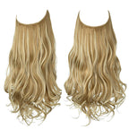 Long Curly Wavy Wig