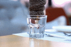 Quick dry towel