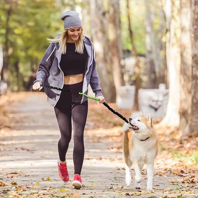 PawsFree Pro – Enjoy stress-free walks with your dog