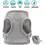Reflective Safety Dog Harness and Leash Set Offer