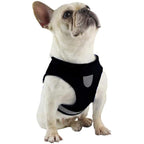 Reflective Safety Dog Harness and Leash Set Offer
