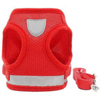 Reflective Safety Dog Harness and Leash Set Offer