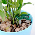 Reusable Garden Flower Lever Loop Gripper Clips