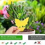 Fruit Fly Fungus Gnat Sticky Trap
