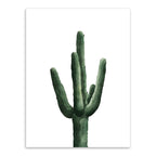 Tropical Plant Cactus Wall Decoration Green Texture Surface Canvas Print for Living Room