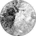 Black and White Bedroom Carpet Modern Abstract Oil Painting Pattern Area Rug Polyester Non-Slip Washable Rug