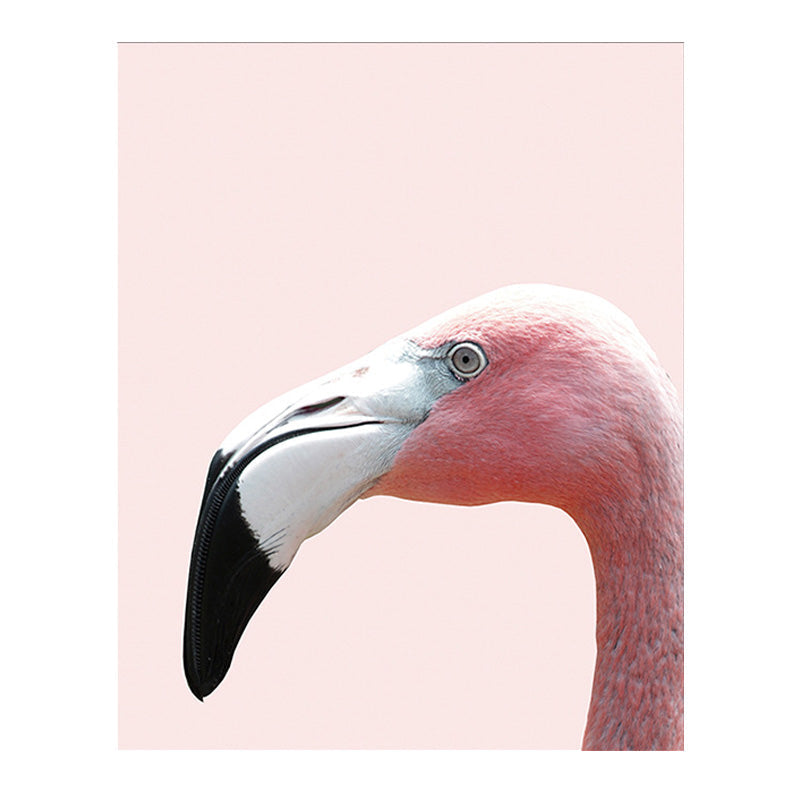 Head of Flamingo Canvas Print Tropical Texture Family Room Wall Art in Pink