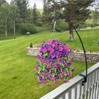 UV Resistant Hanging Morning Glory