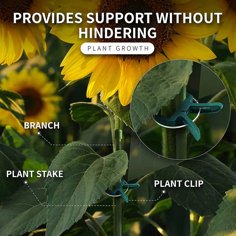 Garden clip set – plant loops for plant supports and garden care