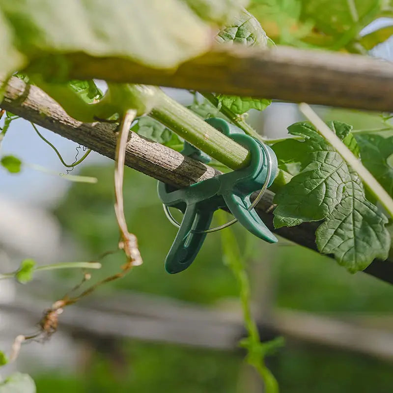 Garden clip set – plant loops for plant supports and garden care